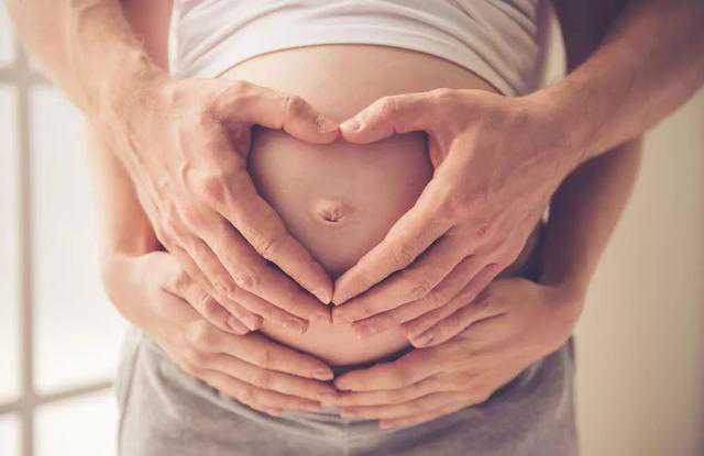 探索11个月宝宝营养食谱：美食推荐与营养解析