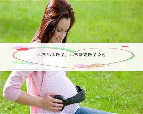 北京职业助孕，北京供卵助孕公司