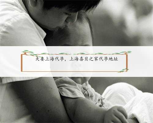 夫妻上海代孕，上海喜贝之家代孕地址