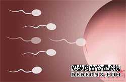 南京去找供卵试管专业机构,南京中国可以供卵试管吗,【孕育基地，不孕不育终