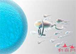 郑州代孕代孕过程（郑州人工代孕过程）